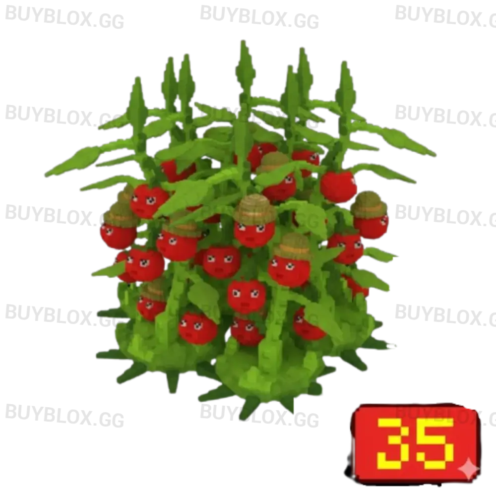 35X Tomatrio Bundle