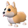 MFR Corgi - Adopt Me