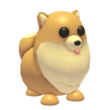 MFR Pomeranian - Adopt Me