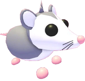 MFR Possum - Adopt Me