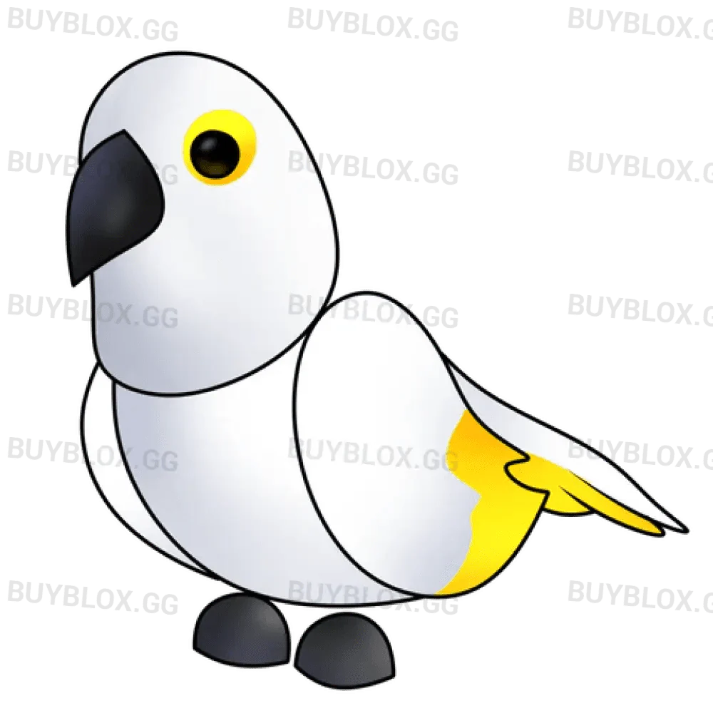 MFR White Amazon - Adopt Me