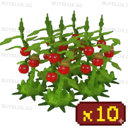 10X Tomatrio Bundle