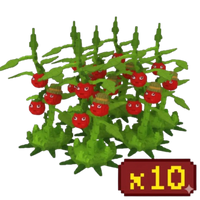 10X Tomatrio Bundle
