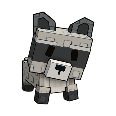 Raccoon