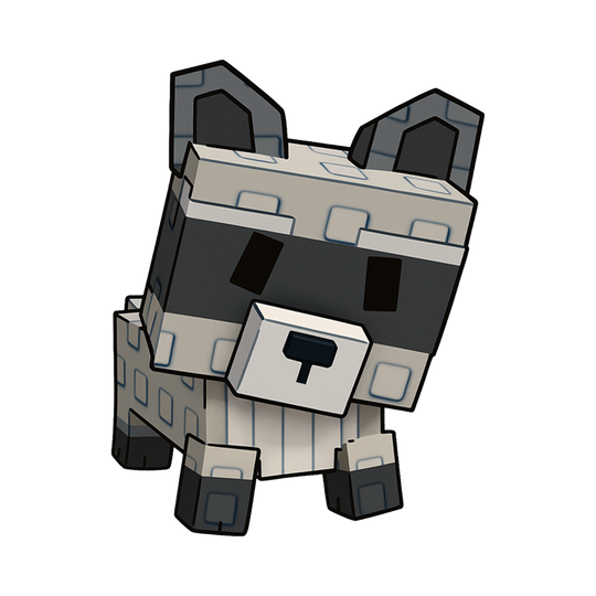 Raccoon