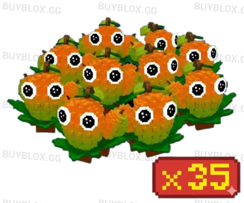 35x Mango Bundle
