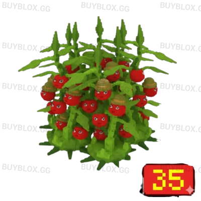 35X Tomatrio Bundle