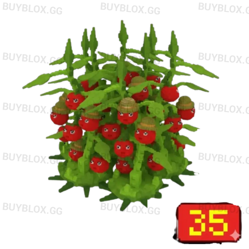 35X Tomatrio Bundle