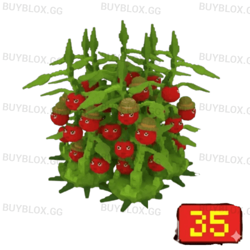 35X Tomatrio Bundle