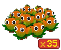 35x Mango Bundle