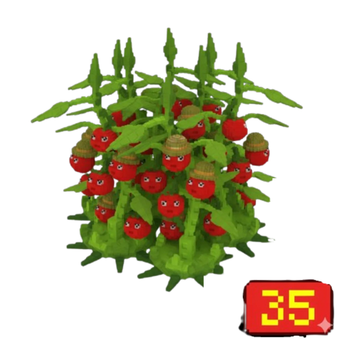 35X Tomatrio Bundle