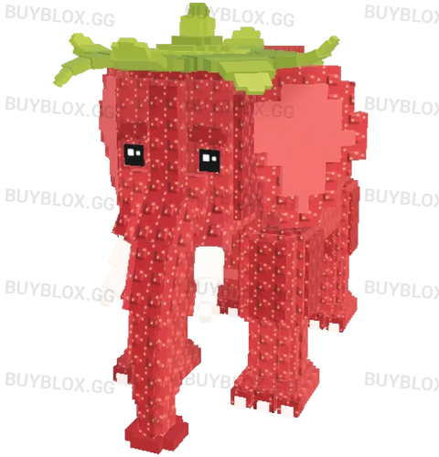 Admin Strawberry Elephant