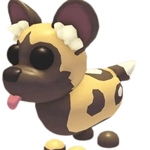 African Wild Dog