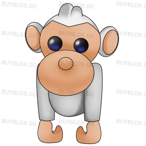 Albino Monkey
