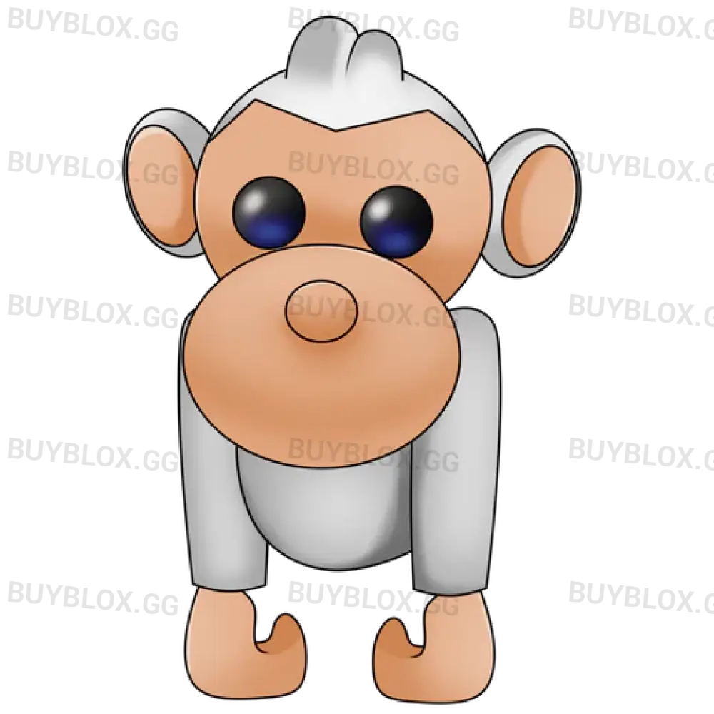 Albino Monkey