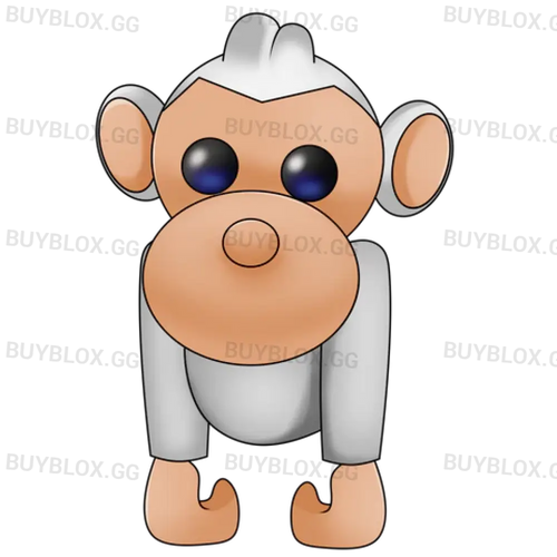 Albino Monkey