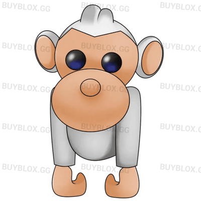 Albino Monkey