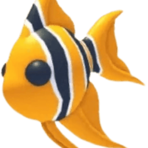 Angelfish