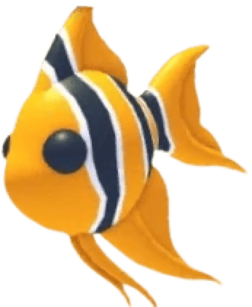 Angelfish
