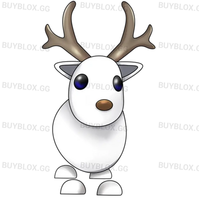 Arctic Reindeer
