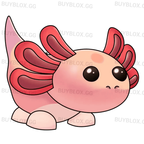 Axolotl