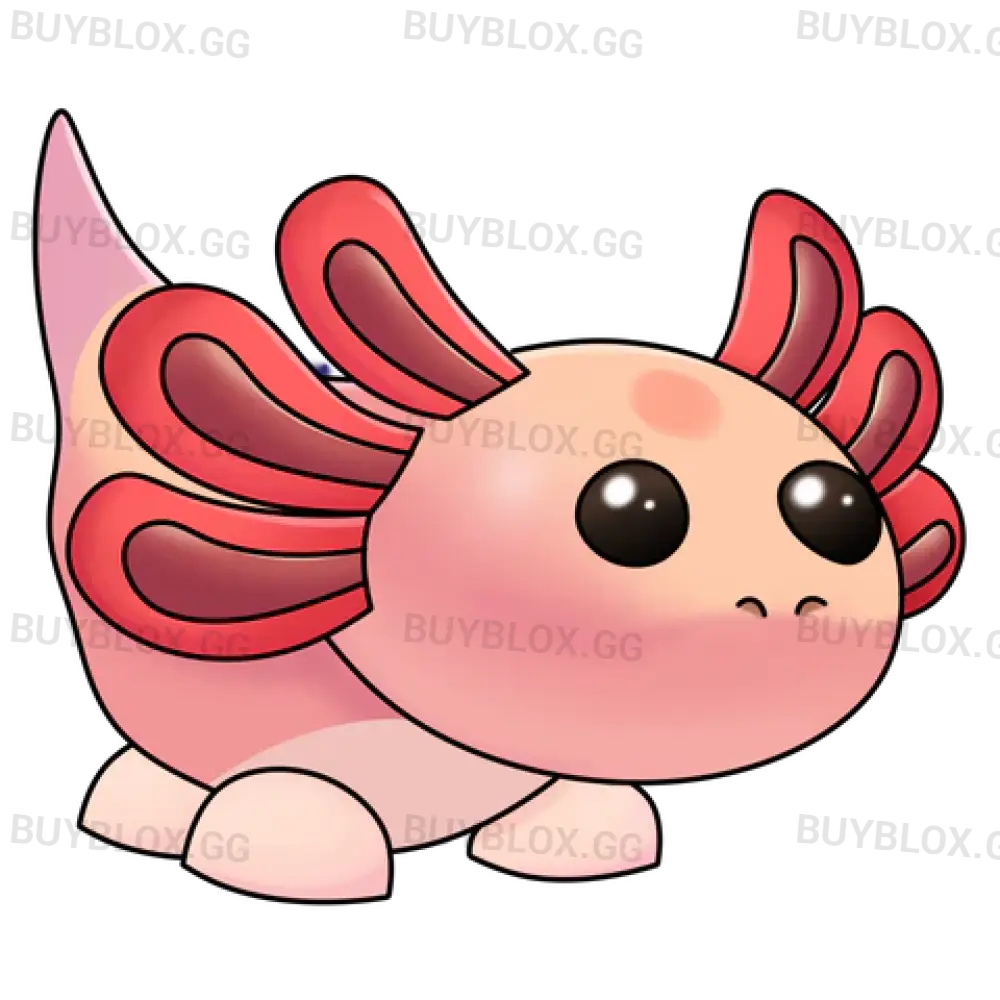 Axolotl