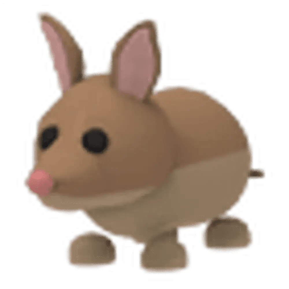 Bandicoot - Adopt Me