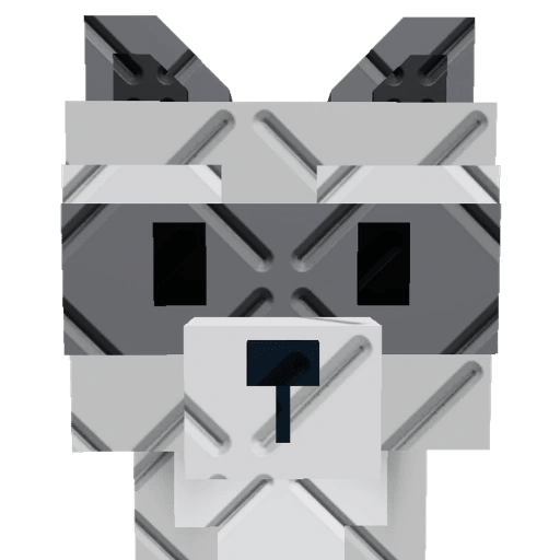 Big Raccoon