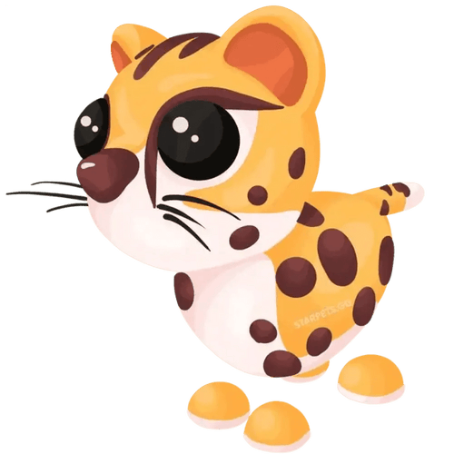Cheetah