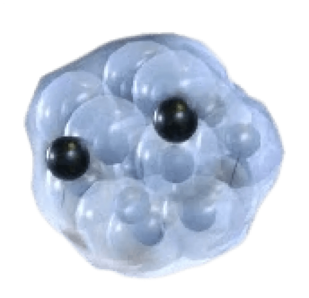 Frogspawn - Adopt Me