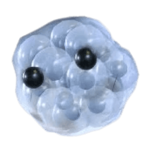 Frogspawn