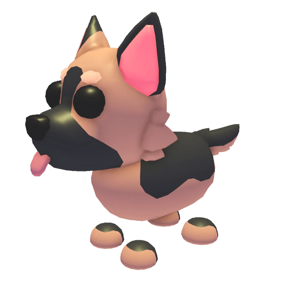 NFR German Shepherd