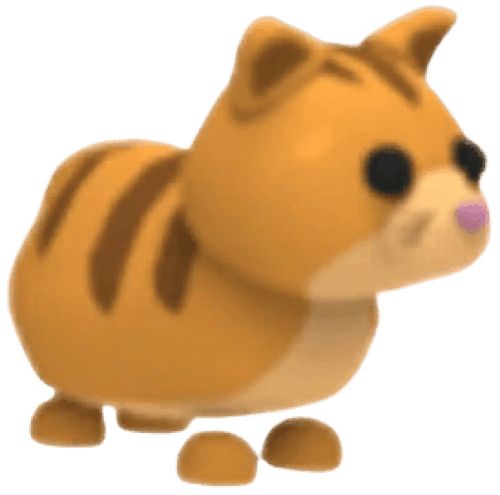 Ginger Cat