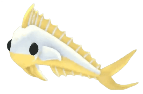 Gold Mahi Mahi