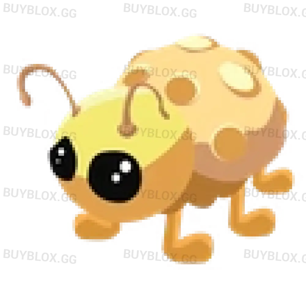 Golden Ladybug