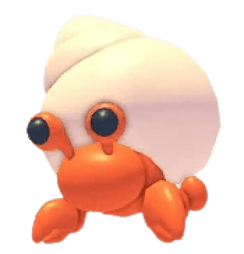 Hermit Crab