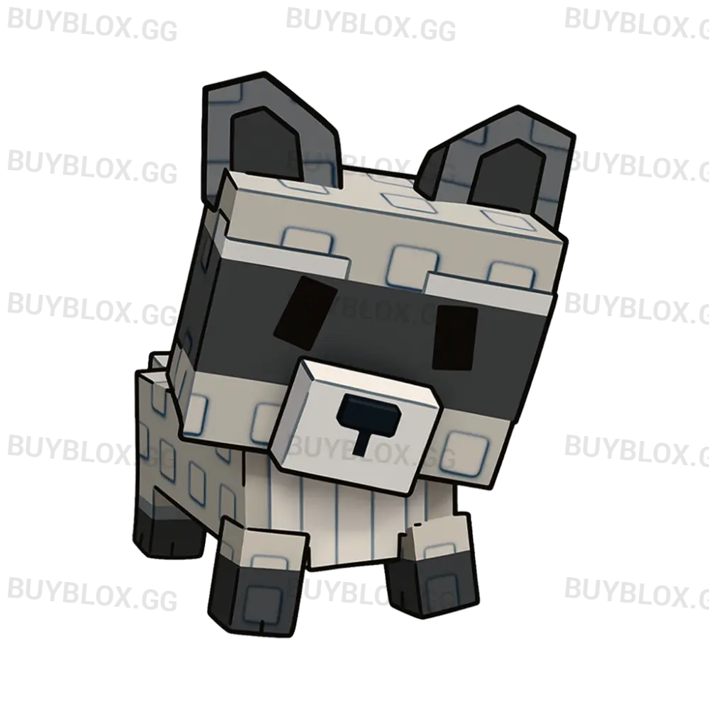 Huge Raccoon (HATCHED)