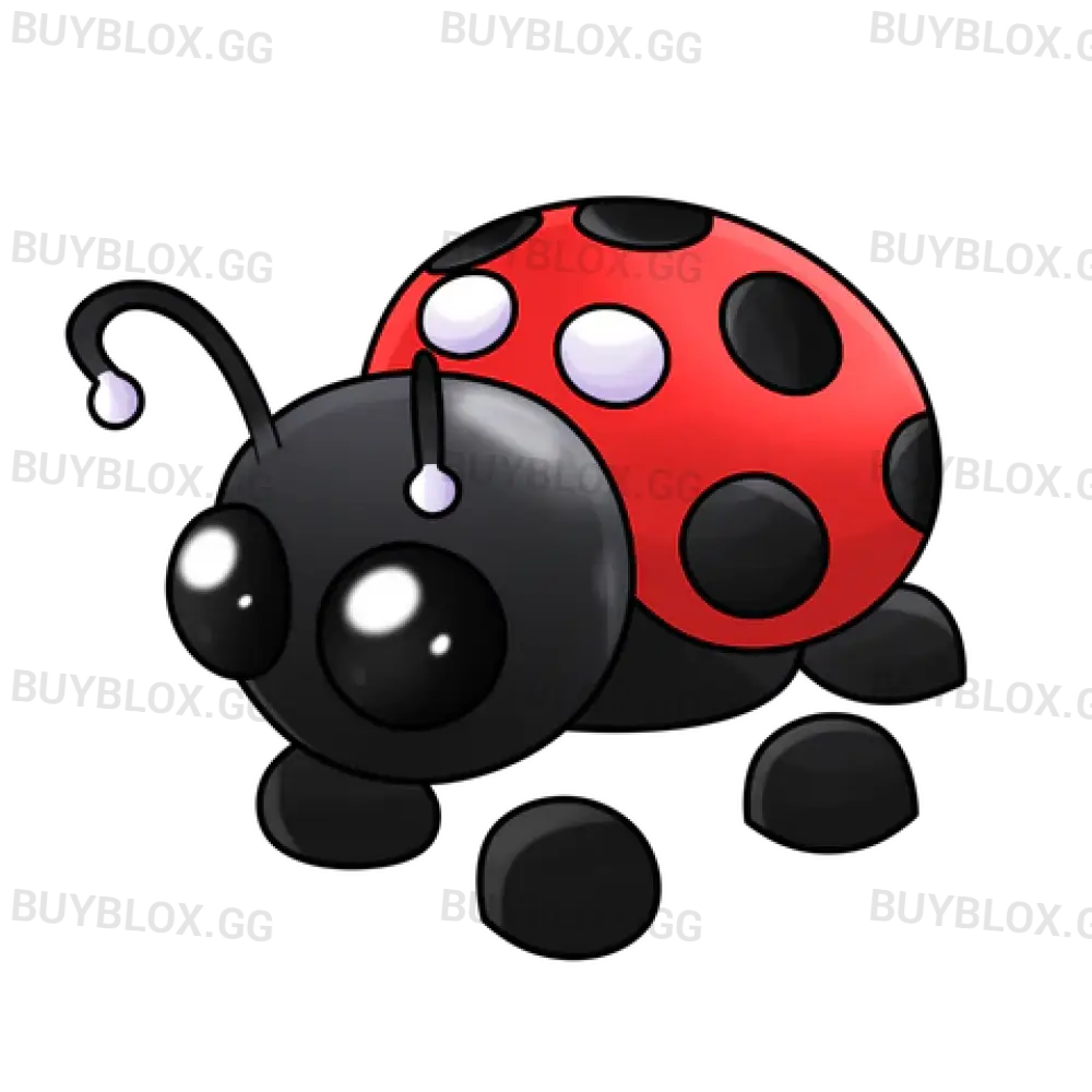 Ladybug