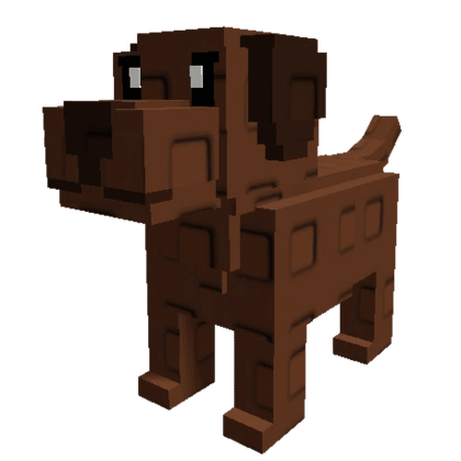 Chocolate Lab