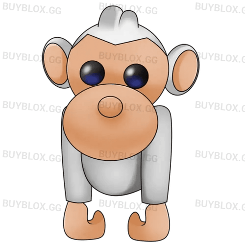 MFR Albino Monkey