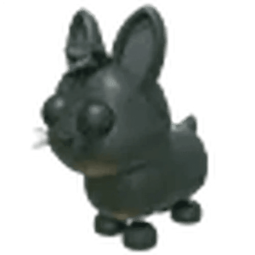 MFR Amami Rabbit