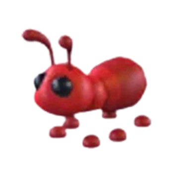 Ant