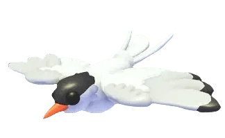 MFR Arctic Tern