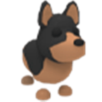 Australian Kelpie