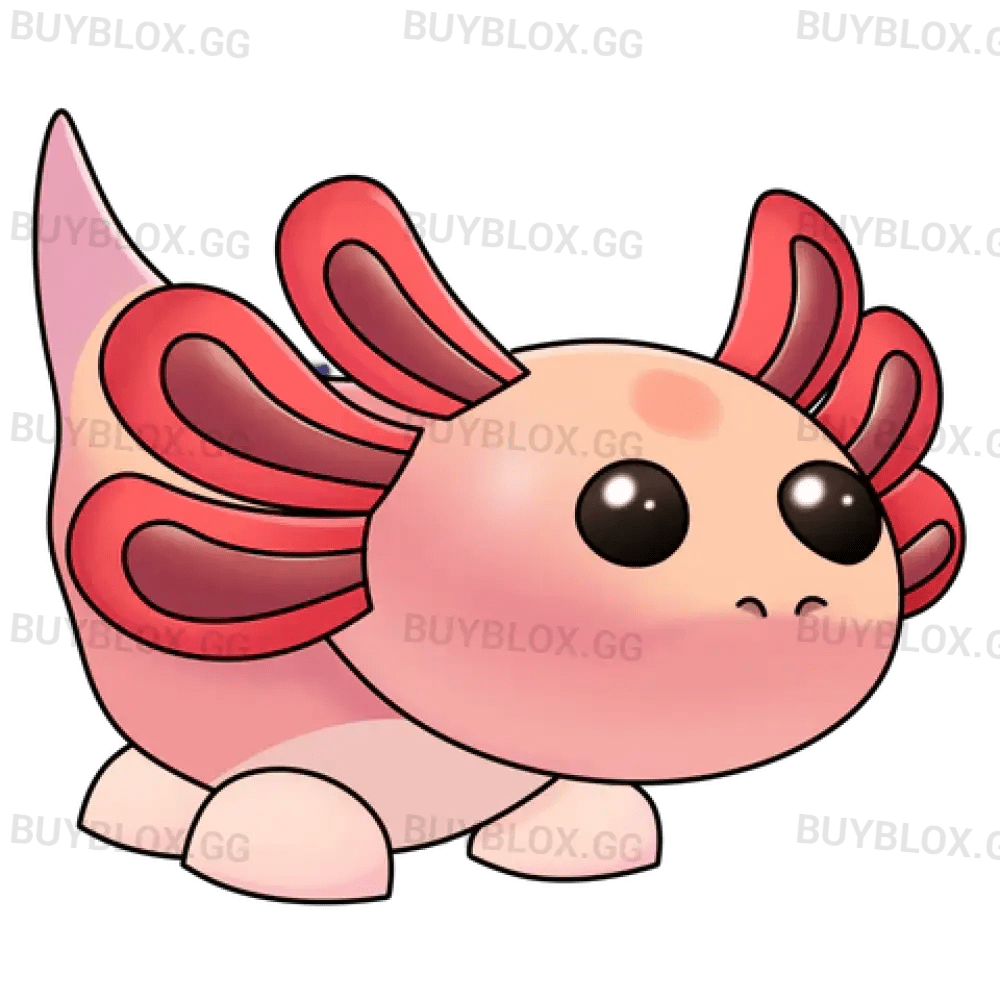 Axolotl