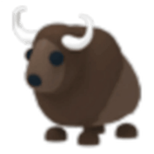 MFR Buffalo