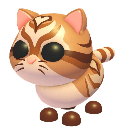 NFR Catte