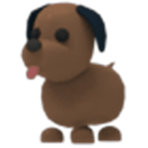 MFR Chocolate Labrador