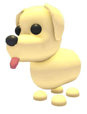 MFR Dog