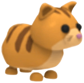 Ginger Cat